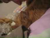 Фотография Липы Жеки