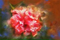 Оля Акимова фотография #44 (источник - https://vk.com/id1571407)