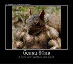 Андрій Думанський фотография #21 (источник - https://vk.com/id44364731)
