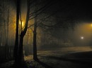 Фотография Лисиной Ирины