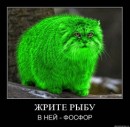 Я... ФоЛныФко=) фотография #17 (источник - https://vk.com/id58452694)