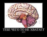 Фотография Shramkov Eugene