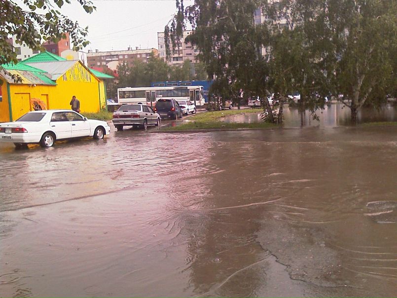 Дмитрий Че) фото №5
