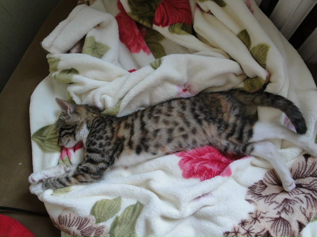 Полина Fullmoon фотография #17