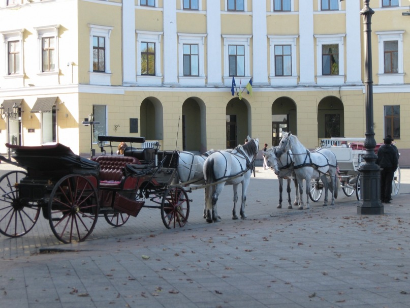 Денис Гранкин фотография #41