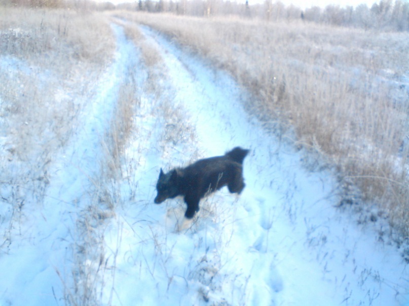 Дима Васкеев фотография #27