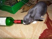 Фотография Клотс Оли