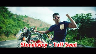 Stonebwoy - Tuff Seed