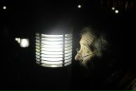 Фотография Панфилова Валерия