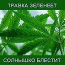 Ростислав Голіней фотография #2 (источник - https://vk.com/id84277339)