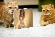 Фотография Шабаловой Кристины