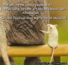 Вова Чміль фотография #31 (источник - https://vk.com/id96764672)