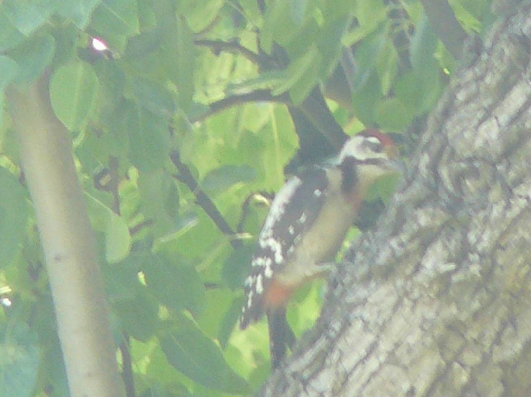 Александр Пушников фотография #27