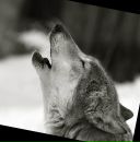 Фотография Спектор Анны