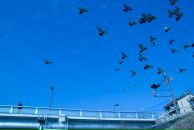 Anna Berg фотография #22 (источник - https://vk.com/id774775)