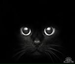 Фотография Кожевникова Никиты