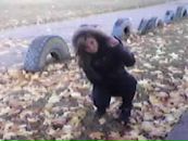 Люда Надієвець фотография #40 (источник - https://vk.com/id117169511)