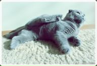 Фотография Гаврилова Олега