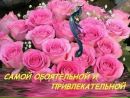 Діма Піпаш фотография #26 (источник - https://vk.com/id140091884)