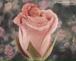 Фотография Пантелеевой Ларисы