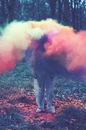 Nevermind Φилатова фотография #3 (источник - https://vk.com/id148401177)