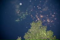 Фотография Калининой Аллы