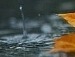 Аліна Токарська фотография #1