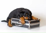 Фотография Смирновой Екатерины