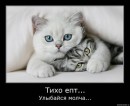 N[i]ki Baby фотография #48 (источник - https://vk.com/id66662499)