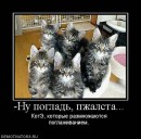 N[i]ki Baby фотография #27 (источник - https://vk.com/id66662499)