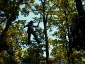 Свєтік Бобрик фотография #13 (источник - https://vk.com/id131611061)