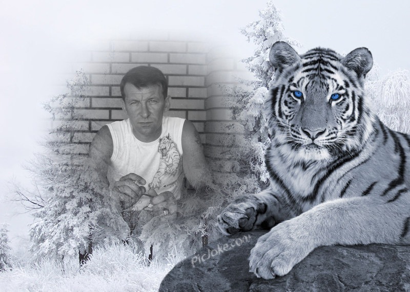 Игорь Чаюн фотография #26