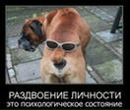 Владимир Ткачёв фотография #42 (источник - https://vk.com/id52932854)