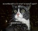 Фотография Новиковой Наташи