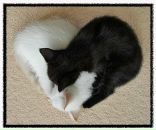 Фотография Малюков Андрей