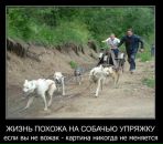 Ірина Редько фотография #43 (источник - https://vk.com/id55667456)
