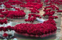 Фотография Беловой Ксении