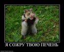 Фотография Тумановой Елены