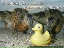 Карина Κозлова фотография #4 (источник - https://vk.com/id109718329)