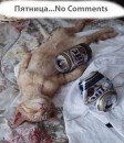 Фотография Чиркова Константина