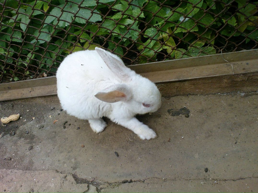 Дмитрий Тимохин фотография #39