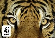 Фотография Хаммата Радика