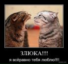 Фотография Казачук Александры