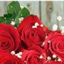 Іра Сакундяк фотография #45 (источник - https://vk.com/id35307343)