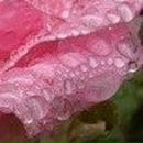 Людок Корнійчук фотография #39 (источник - https://vk.com/id21605957)