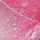 Людок Корнійчук фотография #38 (источник - https://vk.com/id21605957)