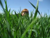 Фотография Башкардиной Елены