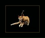 Mark Maisner фотография #50 (источник - https://vk.com/id934960)