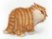 Фотография Хохлова Олега