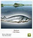 Людмила Бабікова фотография #35 (источник - https://vk.com/id155289329)